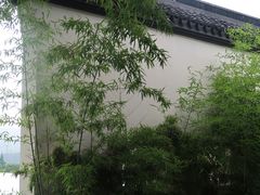 -长田漾湿地公园