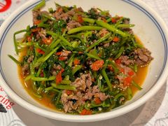 -壹盏灯(惠农店)