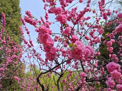 -南长河公园