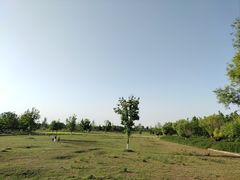 -汉长安城未央宫国家考古遗址公园