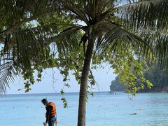 -东姑阿都拉曼海洋公园