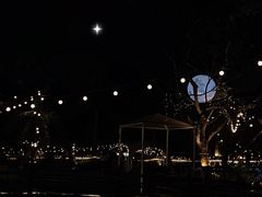 -芭厘农庄老字号·清远鸡