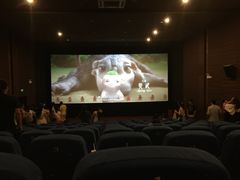 iphone_upload_pic-红旗影剧院