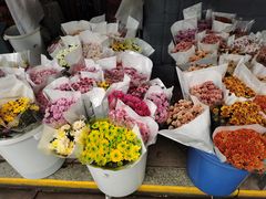 -循礼门鲜花花市(武汉循礼门店)