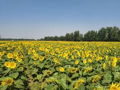 -汉长安城未央宫国家考古遗址公园