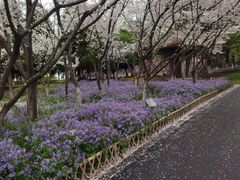 -白塘生态植物园