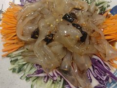 -邵年鸽(杨庄店)