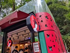 -茶颜悦色(岳麓山顶店)