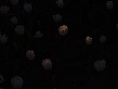 -长春公园(普阳街道)