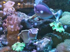 -碧中海汤泉汗蒸酒店