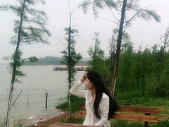 -瑶湖郊野森林公园