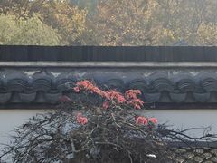 -采石矶景区
