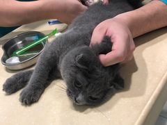 -骐奇宠物诊疗中心(南亭公路店)