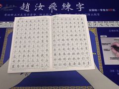 -赵汝飞练字硬笔书法(静安大融城校区)