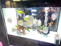 -中环花鸟鱼虫市场