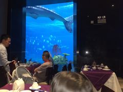 -雨林餐厅(长隆海洋王国店)
