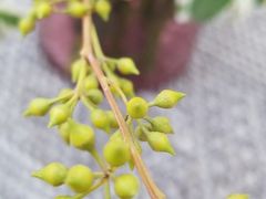 -北马山庄植趣咖啡