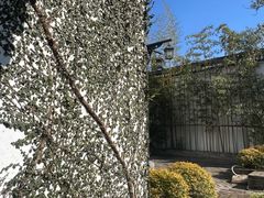 -健眺小海鲜(临海后山店)