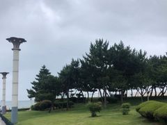 -渡海小渔村.老辈日照菜