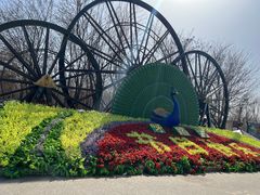 -呀路古热带植物园