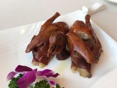 脆皮乳鸽-新南华大酒店(长寿店)