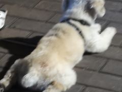 -紫马岭游泳馆