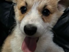 -德全心悦酒店(北京金台路地铁站店)