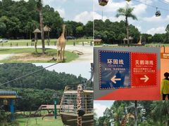 -广州长隆野生动物世界