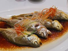 -宝轩渔府·老字号海鲜·正宗津菜(水上店)