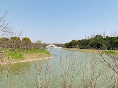 -上海海湾国家森林公园