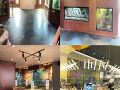 -帕帕拉兹宠物(亚洲旗舰店)