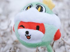 -洪家楼教堂