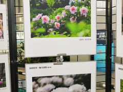 -洛阳龙门站