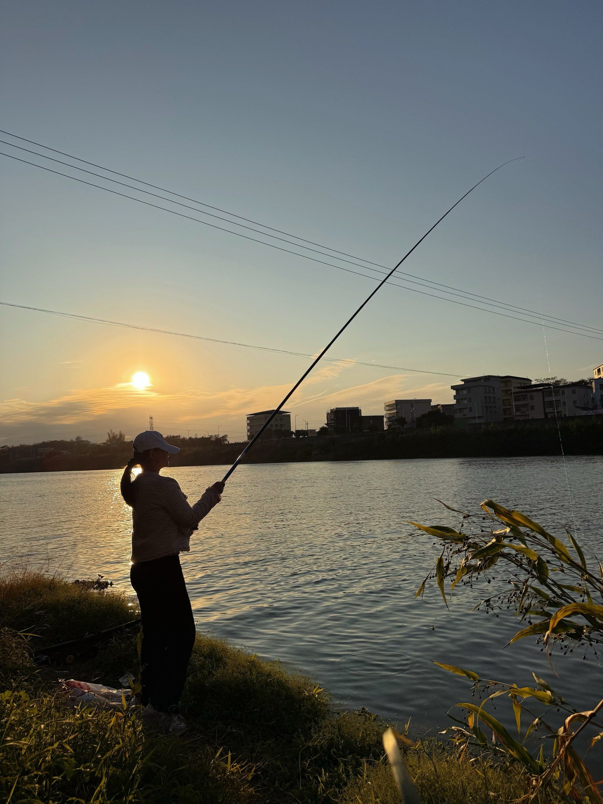 重生之我在夕阳下钓鱼,风景美不胜收