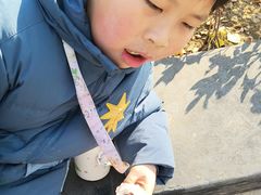 -西园寺素食(西园弄戒幢律寺店)