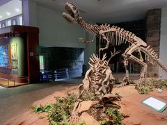 -自贡恐龙博物馆
