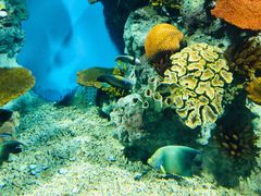 -福州罗源湾海洋世界旅游区