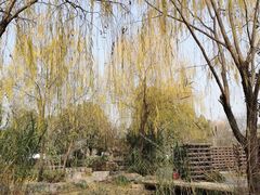 -武汉园博园(武汉自然博物馆)