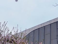 -龙美术馆(西岸馆)