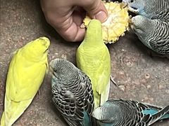 -正佳雨林生态植物园