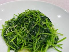 清炒时蔬-新光酒家·河豚·海鲜·蟹料理(浦东店)