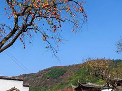 -塔川景区