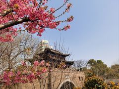 -龟山风景区-龟山电视塔