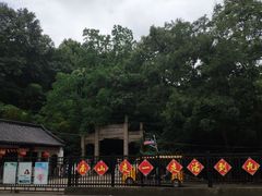 -镇江市南山风景名胜区竹林景区