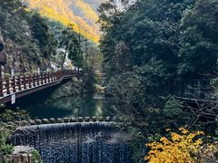 -花溪风景区