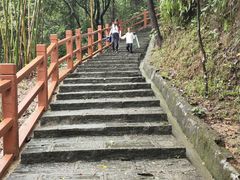 -广州白江湖森林公园