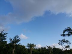 -港门粉第一家