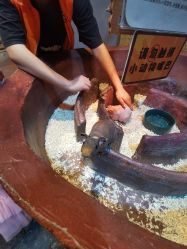 点击看大图 -奇幻萌宠部落(映月湖环宇城店)