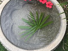 -三亚珠江南田温泉度假区