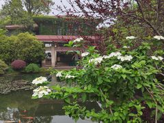 -中国茶叶博物馆(双峰馆区)